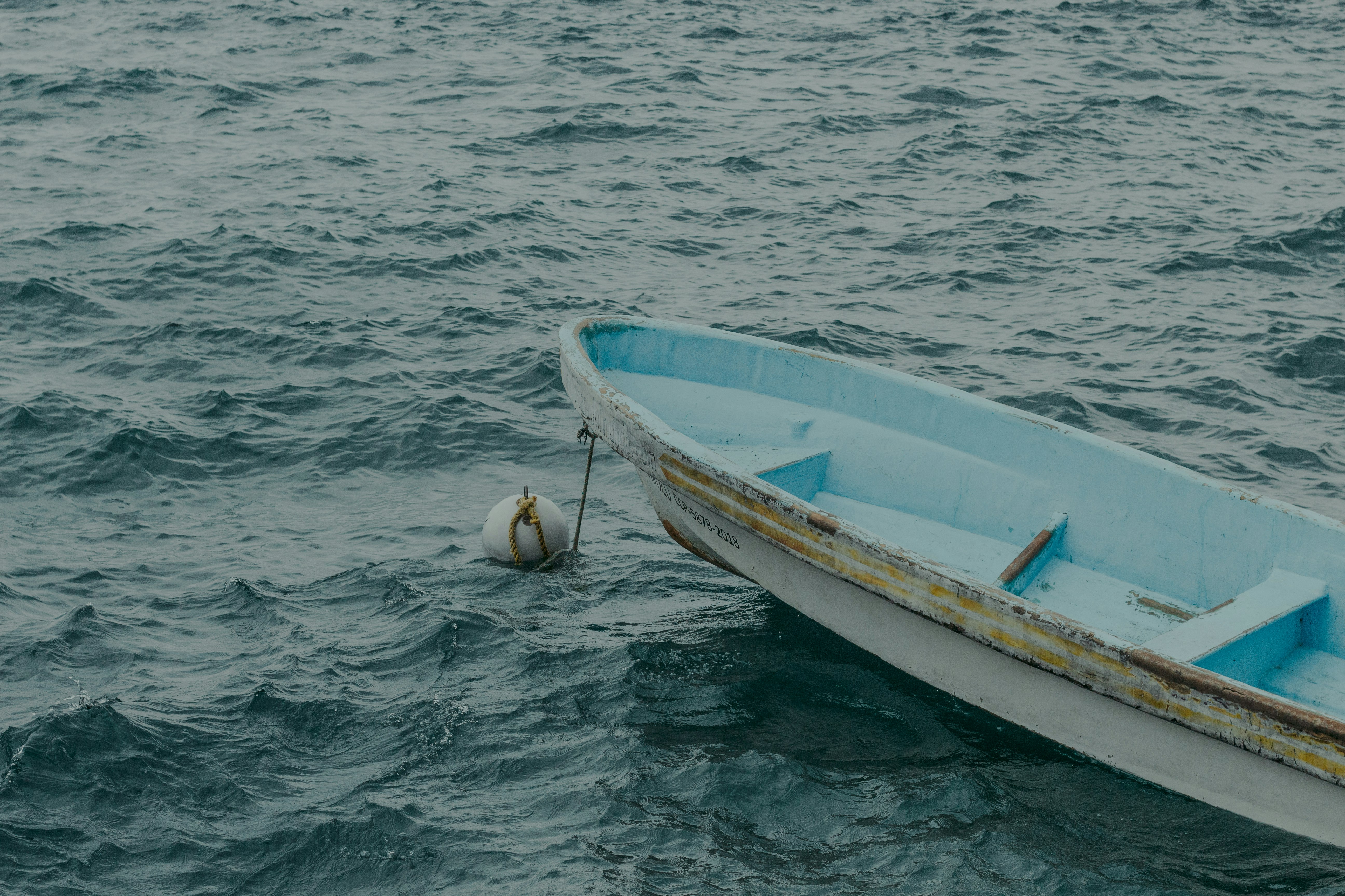 white and blue boat on body of water during daytime